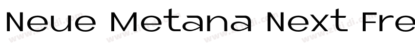 Neue Metana Next Fre字体转换